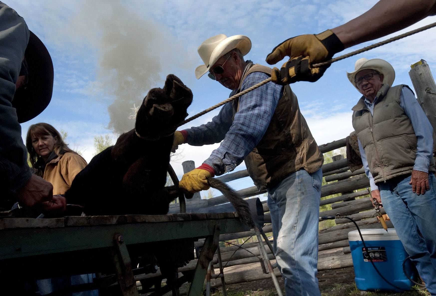 Branding at Walton Ranch